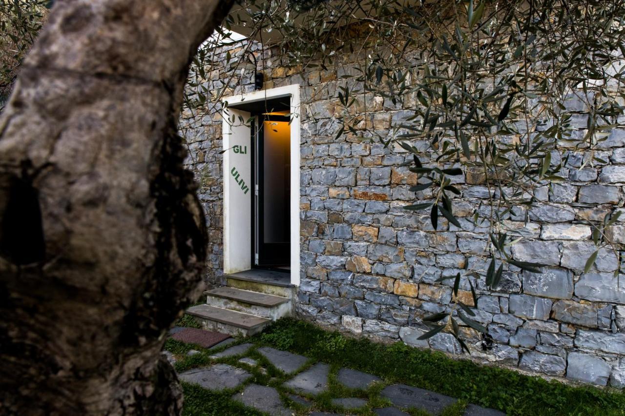 Agri Bed - L'Affittacamere In Collina - Guest Room On The Hill Lavagna Exteriér fotografie