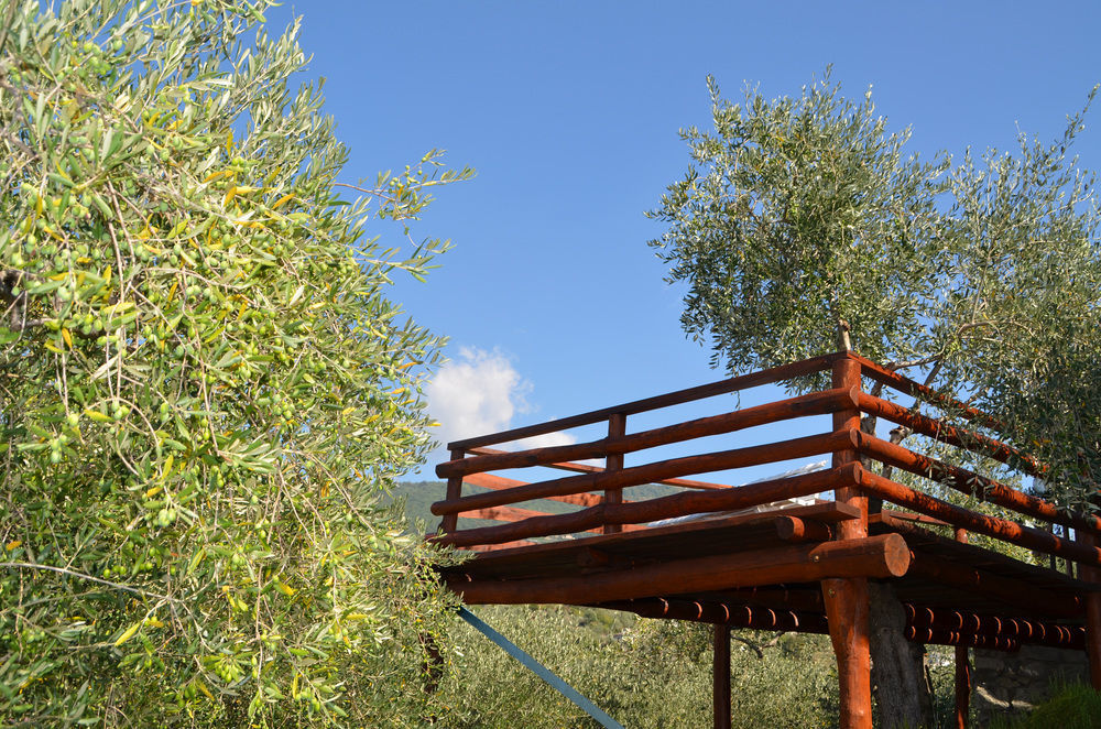 Agri Bed - L'Affittacamere In Collina - Guest Room On The Hill Lavagna Exteriér fotografie