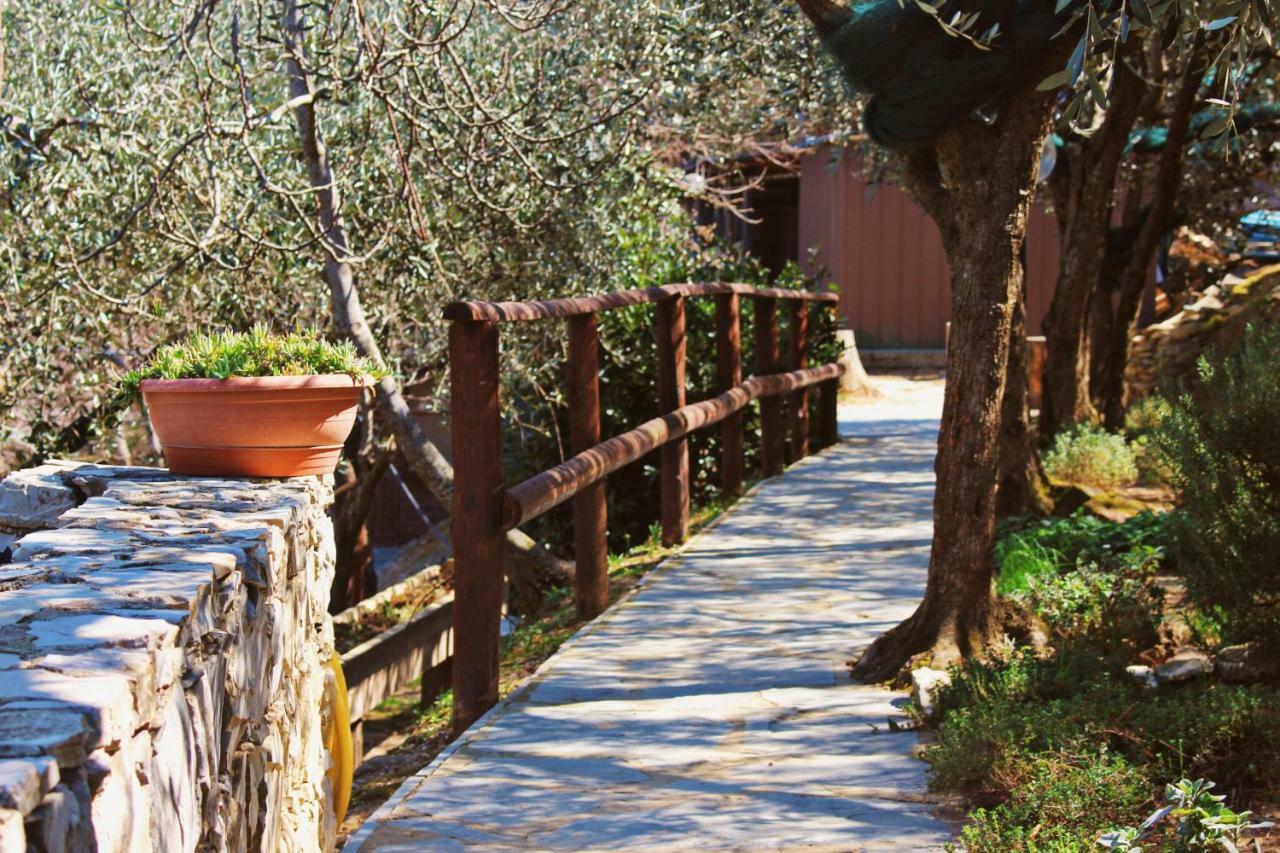 Agri Bed - L'Affittacamere In Collina - Guest Room On The Hill Lavagna Exteriér fotografie